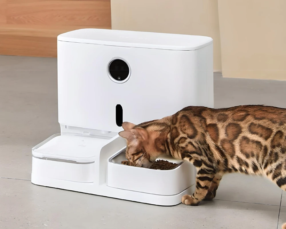 automatic pet feeding station